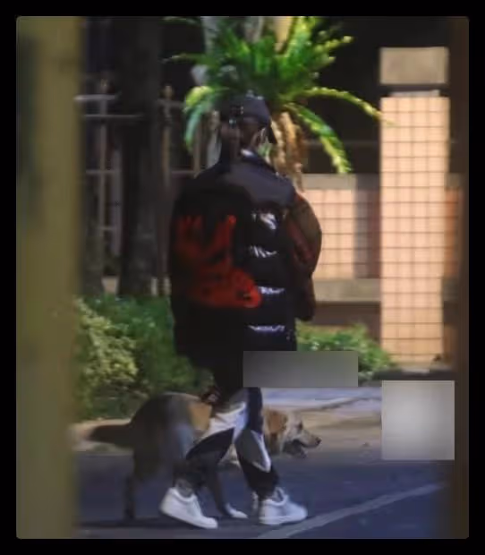 蕭亞軒在街頭獨自遛狗,被咬毀容也不離不棄,和小16歲男友仍分居
