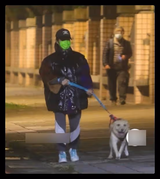 蕭亞軒在街頭獨自遛狗,被咬毀容也不離不棄,和小16歲男友仍分居