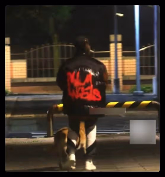 蕭亞軒在街頭獨自遛狗,被咬毀容也不離不棄,和小16歲男友仍分居