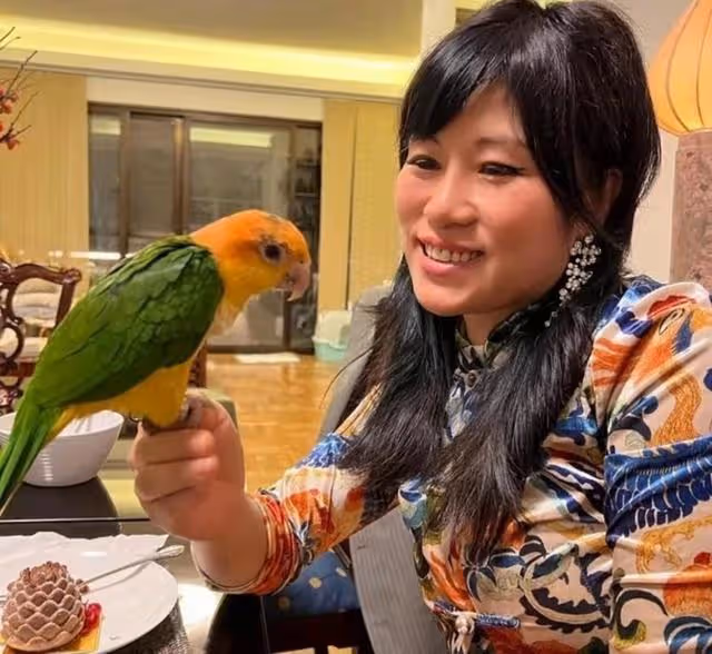 愜意!香港知名女星邀友人做客豪宅,空間寬敞可供滿屋動物到處飛
