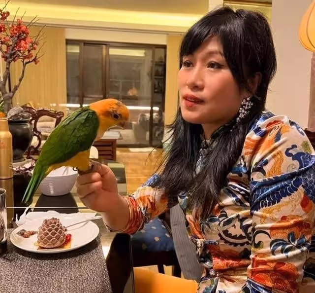 愜意!香港知名女星邀友人做客豪宅,空間寬敞可供滿屋動物到處飛