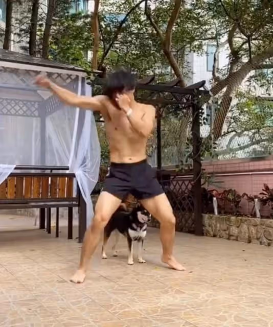 愜意!香港知名女星邀友人做客豪宅,空間寬敞可供滿屋動物到處飛