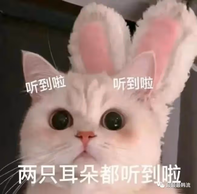 是新的開始嗎?