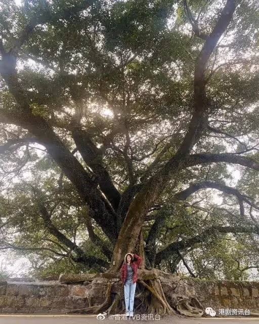 生日放飛自我!TVB視後素顏上山避世