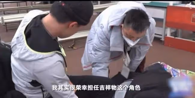 冬奧冰墩墩扮演者火上熱搜!正臉照高顏值大長腿,還有人撞臉楊洋