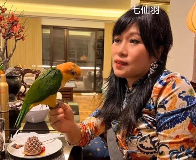 錢小豪前妻邀友人豪宅做客,滿屋動物太壯觀,每晚愛摟著鸚鵡睡覺