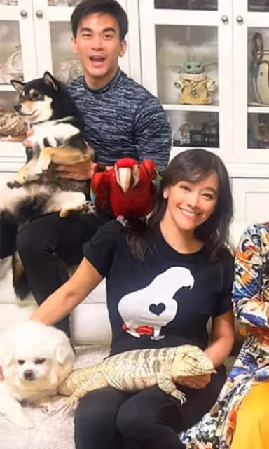 錢小豪前妻邀友人豪宅做客,滿屋動物太壯觀,每晚愛摟著鸚鵡睡覺