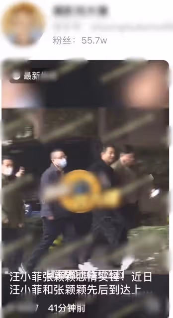 汪小菲張穎穎戀情實錘?深夜醉酒不忘十指緊扣,女方待客如老闆娘