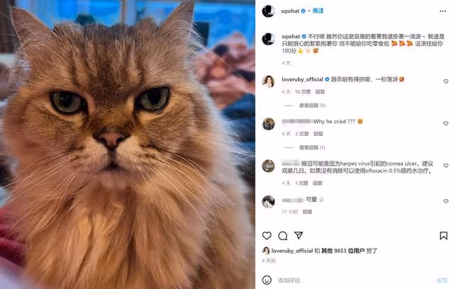 香港疫情嚴峻!謝賢前妻動兩次手術又染皰疹,舒淇嘆過年寸步難行