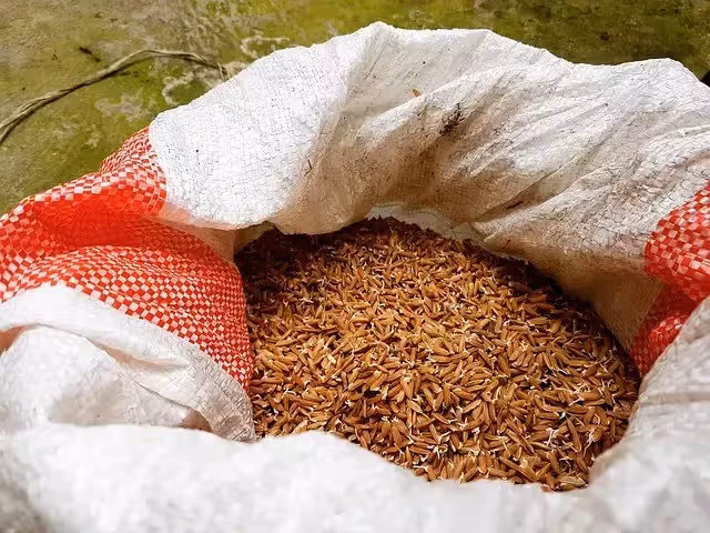 父親早逝留下寡母孤兒，家境清苦母親又腿殘，沒想到靠著「三袋米」她把兒子送進了名校！