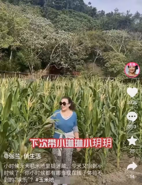張蘭新年惦記孫子孫女!點贊支持汪小菲復婚,表態希望孩子回北京
