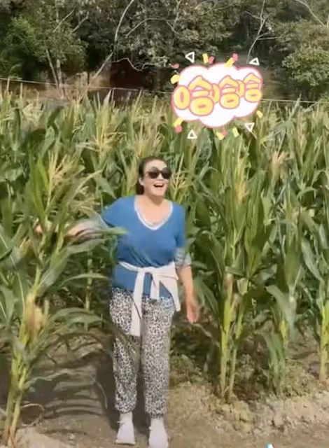 張蘭新年惦記孫子孫女!點贊支持汪小菲復婚,表態希望孩子回北京