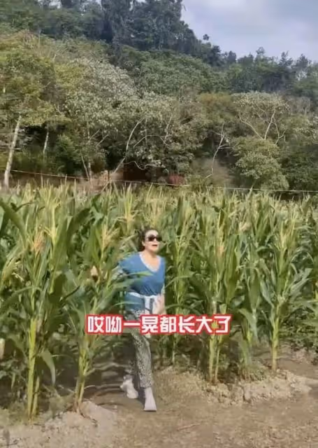 張蘭新年惦記孫子孫女!點贊支持汪小菲復婚,表態希望孩子回北京