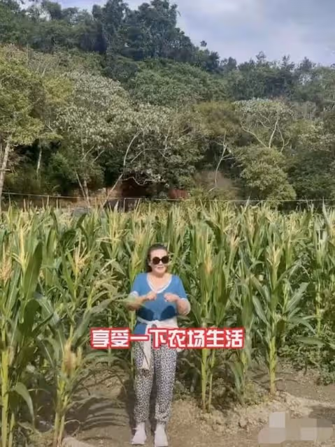 張蘭新年惦記孫子孫女!點贊支持汪小菲復婚,表態希望孩子回北京