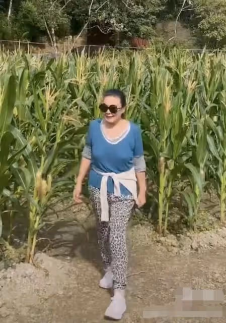 張蘭新年惦記孫子孫女!點贊支持汪小菲復婚,表態希望孩子回北京