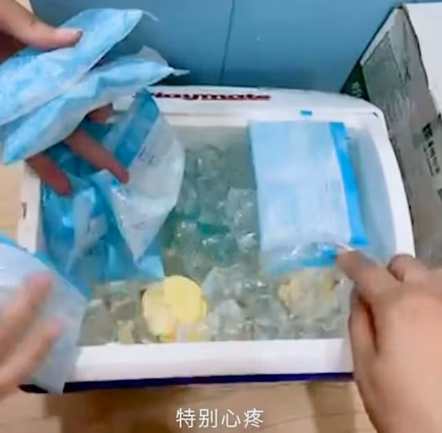 謝娜半個冰箱都是母乳！娛樂圈5位「背奶媽媽」，證明母愛真偉大