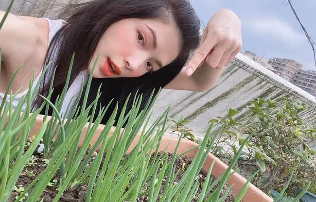 37歲純欲天花板官宣離婚？被阮經天傷透，好在美貌身材依舊如初！