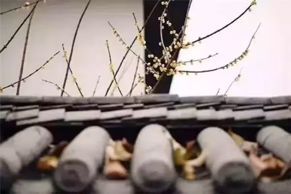 90後文青男僅花1萬4爆改出租房,後續又花1個半月的時間改造破院,成品讓人嘖嘖稱奇!