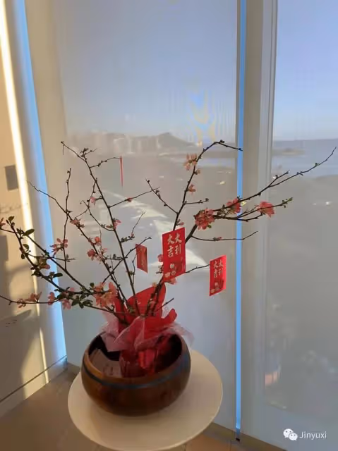 羽西的日記 |「大家過年好!」