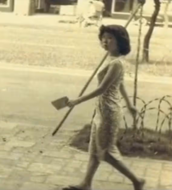 春晚第一美男,被台娛封殺14年,年過60依舊未婚,卻被幾億觀眾懷念至今……