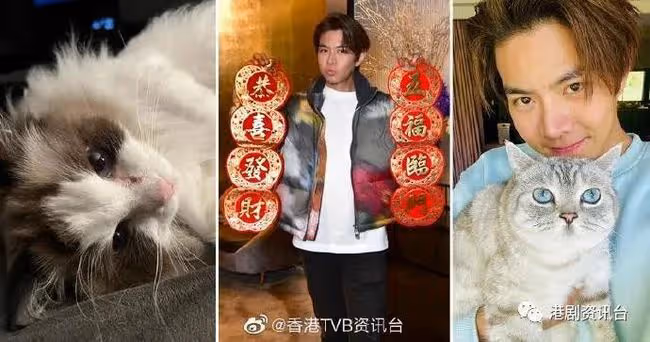 羅天宇盼事業有不同嘗試 做好每個角色報答母親