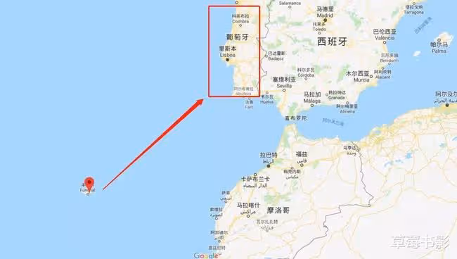 未婚生養6個孩子,這對頂流情侶終於公開秀恩愛了