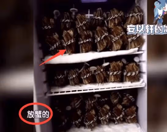 安以軒一張床墊80萬,200萬寶馬只配買菜,回娘家有私人飛機接駕