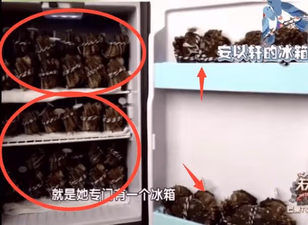 安以軒一張床墊80萬,200萬寶馬只配買菜,回娘家有私人飛機接駕