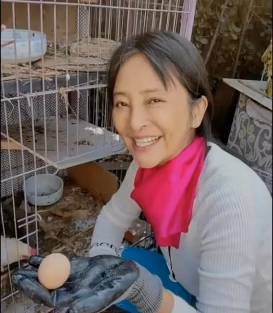 有的被家暴,有的三嫁三離,有的恩愛如初,明星嫁老外遭遇各不同