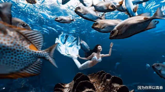 演員宣璐曬「美人魚」照,在魚群中姿態優雅,雙腿修長皮膚白