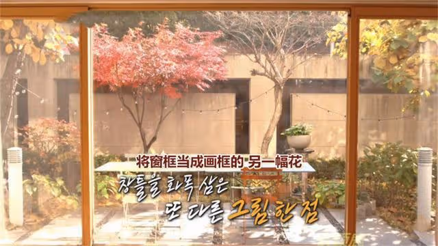 韓國國民初戀孫藝珍，美得大氣從容，活得豐盈溫暖，不擰巴不將就