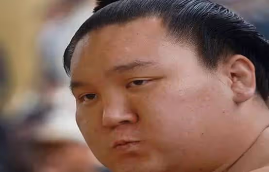 日本相撲又肥又丑,為何日本女孩爭著嫁?原因很簡單