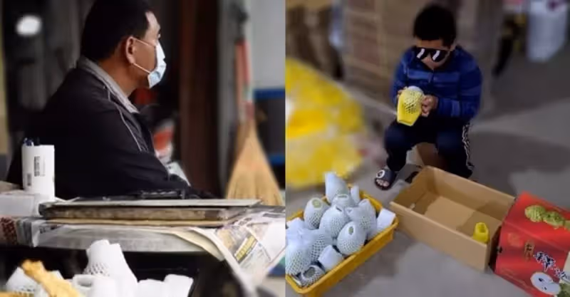 我不能倒下！爸爸撐病體「種釋迦撐六口生計」每天和時間賽跑　「10歲兒包裝出貨」想替爸爸一起分擔