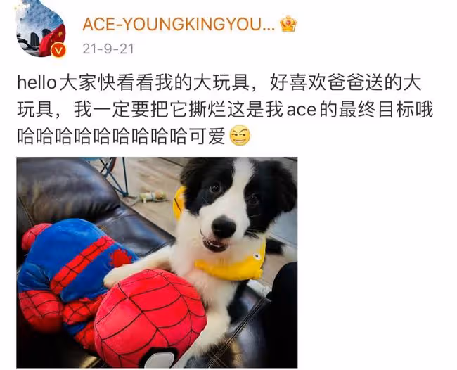 曝黃子韜虐狗,粉絲怒斥其冬天將狗放室外,不給喂水不讓外出活動