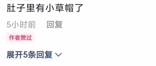 41歲草帽姐被疑懷二胎!穿緊身衣肚大如籮孕味十足,本人火速回應