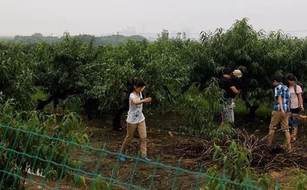 來准婆婆家商量結婚,准婆婆說一家人,誰出都一樣,知原委攤了