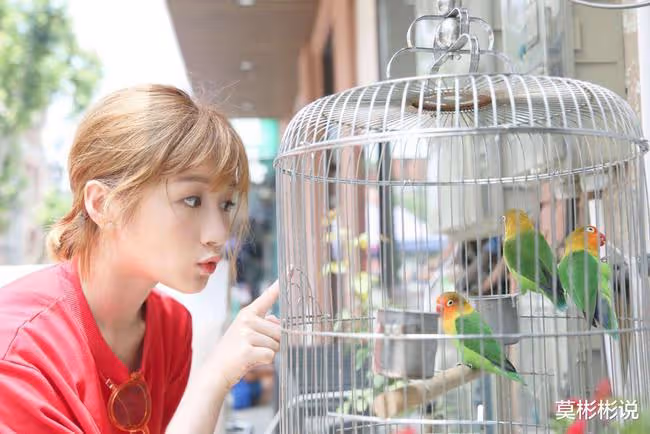 《快本》主持李浩菲:曾想接替謝娜位置,如今頂替孫千成為《歡樂頌》新五美