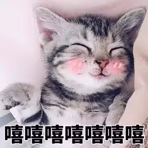 臉上一坨矽膠?