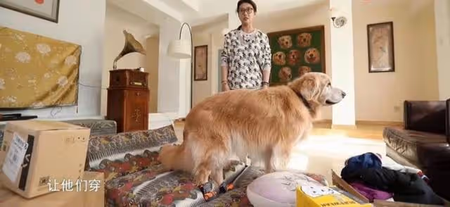 生活愜意!香港知名女星獨居北京萬尺豪宅,與愛狗相伴毫不孤單