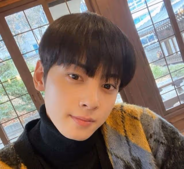 盤點校草出身韓國男演員!玄彬被封品學兼優校園傳說,他文武雙全