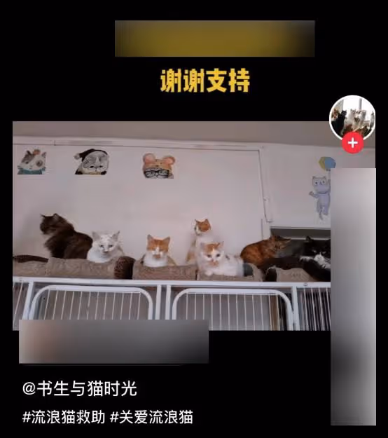 知名網紅因肝癌晚期去世,將無償捐獻遺體,上個月還在眾籌醫藥費
