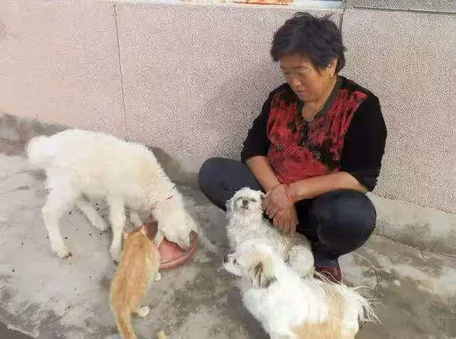 養子接我一起過年!飯桌上孫子「嫌飯菜不好吃」摔了飯碗 我卻感動得「拿出30萬積蓄」送給他們