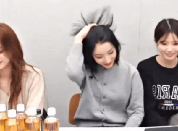 IVE成員打破優待爭議?獲單獨代言;某女團成員直播失言?