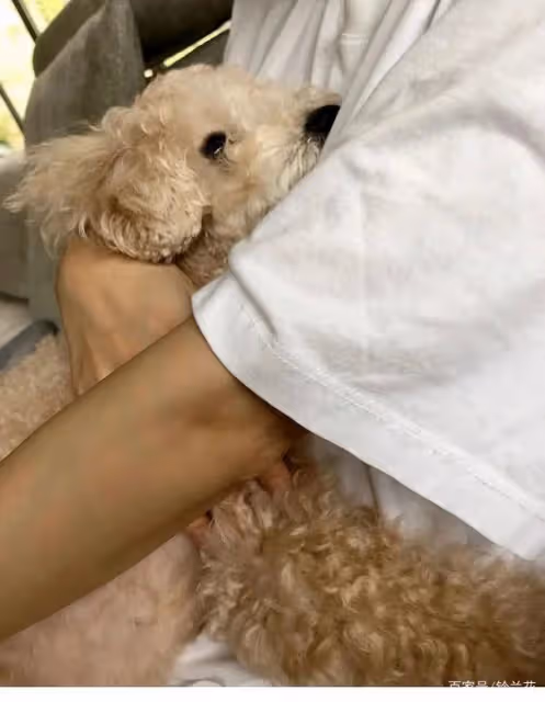 40歲孫藝珍如願嫁給愛情，閨蜜團排隊送祝福，稱呼玄彬顯親昵