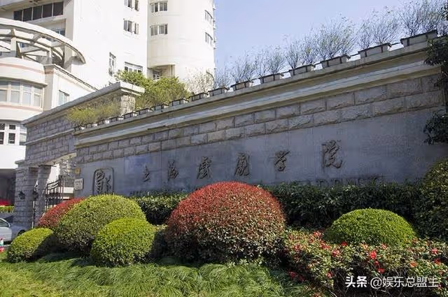 上戲的5個「敗類」,有家暴有出軌還有不知國恥,真是五毒俱全
