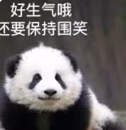 大眼男星婚內出軌的瓜來了!