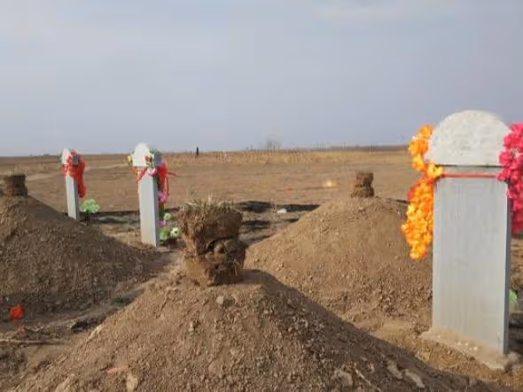 村裡沒有人認為李寡婦是個女人，她死後，村長在墳上給她立了塊碑