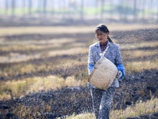 村裡沒有人認為李寡婦是個女人，她死後，村長在墳上給她立了塊碑