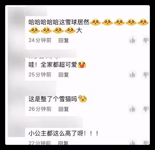 56歲王志飛曝近況,為6歲女兒堆雪球顯吃力,豪宅院子曝光似公園