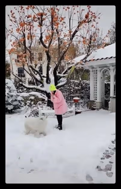 56歲王志飛曝近況,為6歲女兒堆雪球顯吃力,豪宅院子曝光似公園